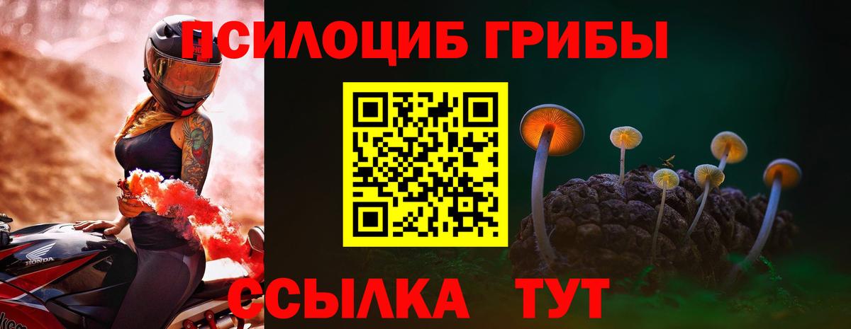 БУТИРАТ Тайшет
